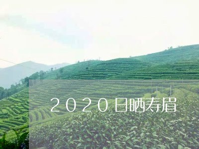 2020日晒寿眉/2023090819260