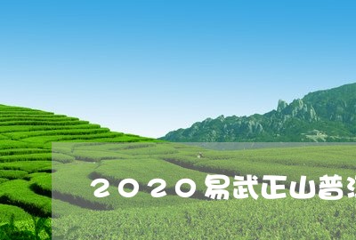 2020易武正山普洱茶/2023120723847