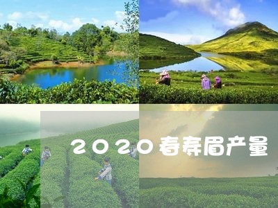 2020春寿眉产量/2023120495140