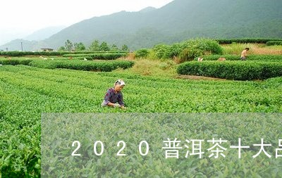 2020普洱茶十大品牌/2023122006182