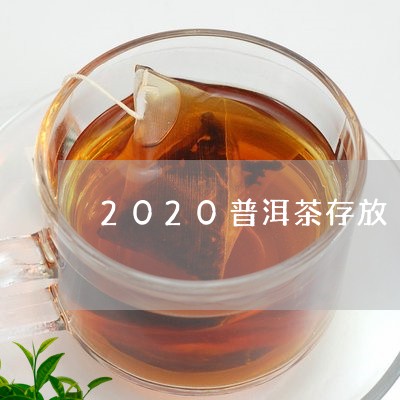 2020普洱茶存放/2023070950314