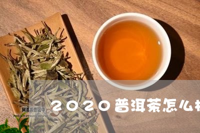 2020普洱茶怎么样/2023062708379