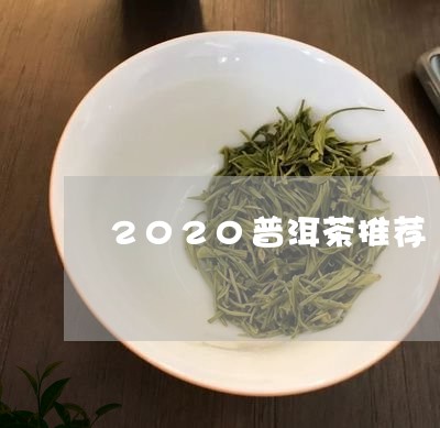 2020普洱茶推荐/2023091413827