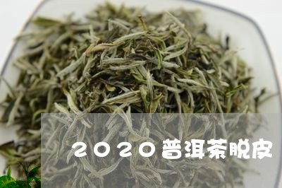 2020普洱茶脱皮/2023091452603