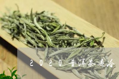 2020普洱茶遇冷/2023091453815