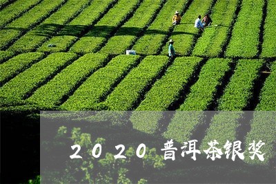 2020普洱茶银奖/2023120447493