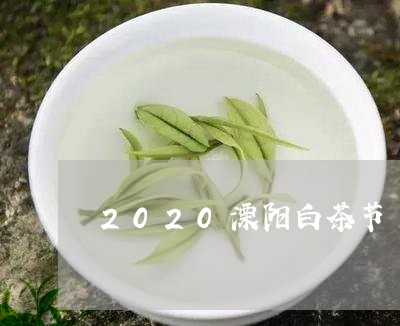 2020溧阳白茶节/2023071317362