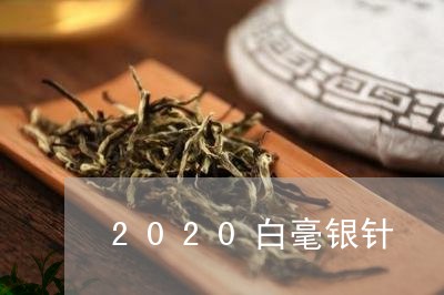 2020白毫银针/2023090738360