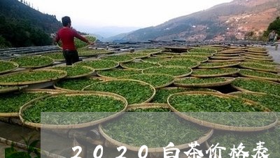 2020白茶价格表/2023121574160