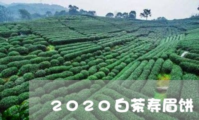 2020白茶寿眉饼/2023091230472