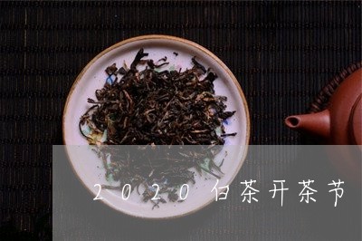 2020白茶开茶节/2023071367593