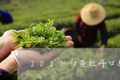 2020白茶牡丹口感/2023092715258