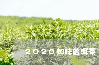 2020知味普洱茶/2023091453035