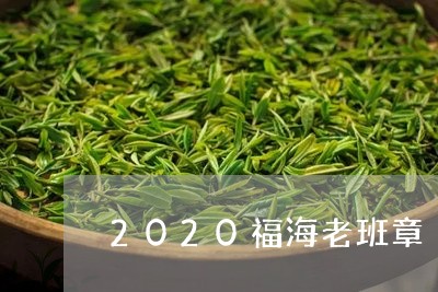 2020福海老班章/2023042754948