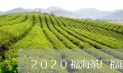 2020福海茶厂福运/2023092102706