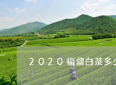 2020福鼎白茶多少钱一斤啊/2023062998359