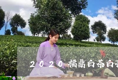 2020福鼎白茶白毫银针饼状/2023062936159