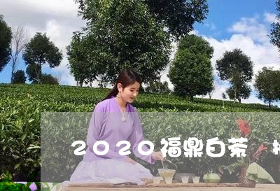 2020福鼎白茶釆摘/2023091504037