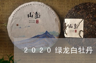 2020绿龙白牡丹/2023091419392