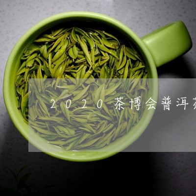 2020茶博会普洱茶/2023112783936