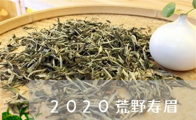 2020荒野寿眉/2023090789401