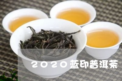 2020蓝印普洱茶/2023070954052