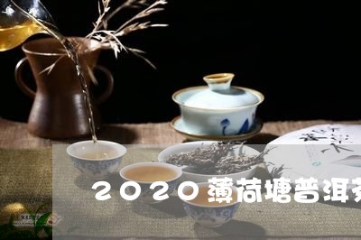 2020薄荷塘普洱茶/2023062879625