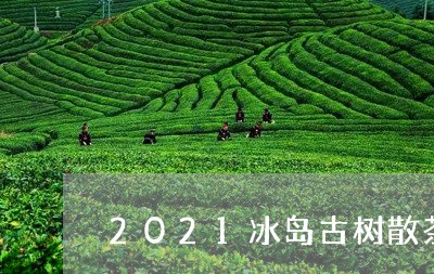 2021冰岛古树散茶/2023092318472