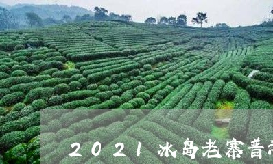 2021冰岛老寨普洱茶/2023050592147