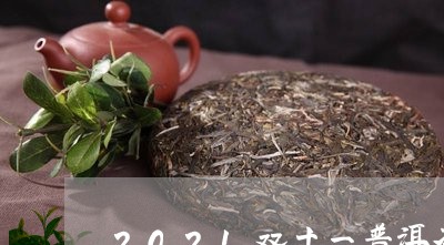 2021双十一普洱茶/2023062441623