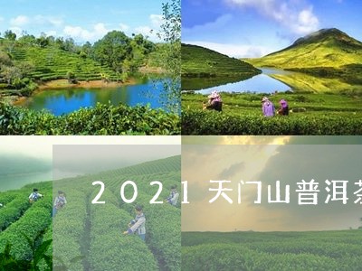 2021天门山普洱茶价格多少/2023110250380