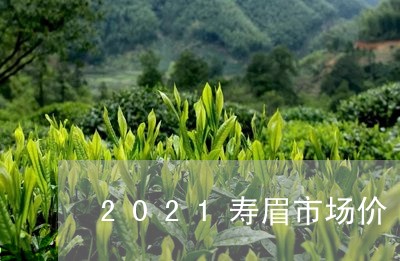 2021寿眉市场价/2023120513147