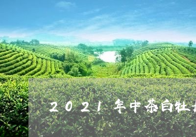 2021年中茶白牡丹/2023120931592