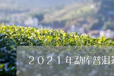 2021年勐库普洱茶/2023100673938