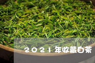 2021年收藏白茶/2023071359603