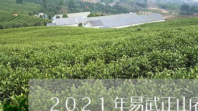 2021年易武正山春茶价/2023051259602