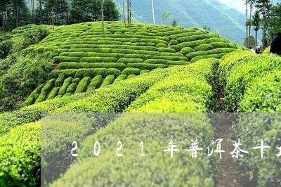 2021年普洱茶十大排名及价格/2023081728369