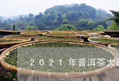 2021年普洱茶大跌/2023062746371