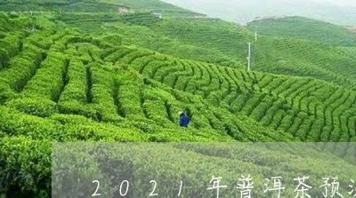 2021年普洱茶预测/2023100887250