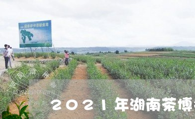 2021年湖南茶博会/2023071650682