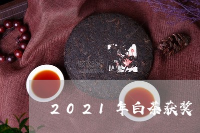 2021年白茶获奖/2023121577381