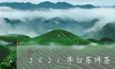 2021年白茶饼茶/2023121511403