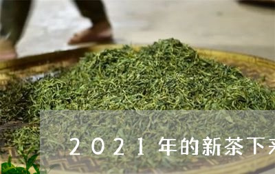 2021年的新茶下来了吗/2023051129793