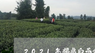 2021年福鼎白茶价格表图片/2023111444960