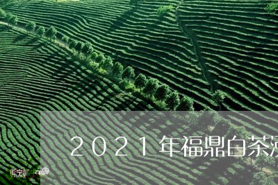 2021年福鼎白茶涨价/2023092284949