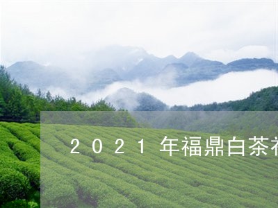 2021年福鼎白茶礼盒/2023092225060