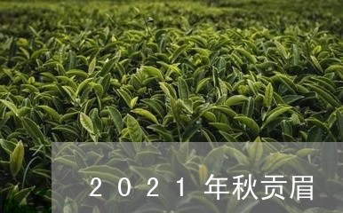 2021年秋贡眉/2023090797060