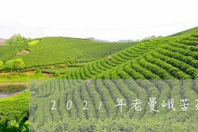 2021年老曼峨苦茶/2023092148484