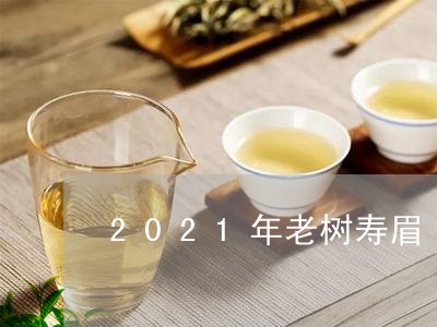 2021年老树寿眉/2023120561703