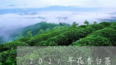 2021年花香白茶/2023121521716